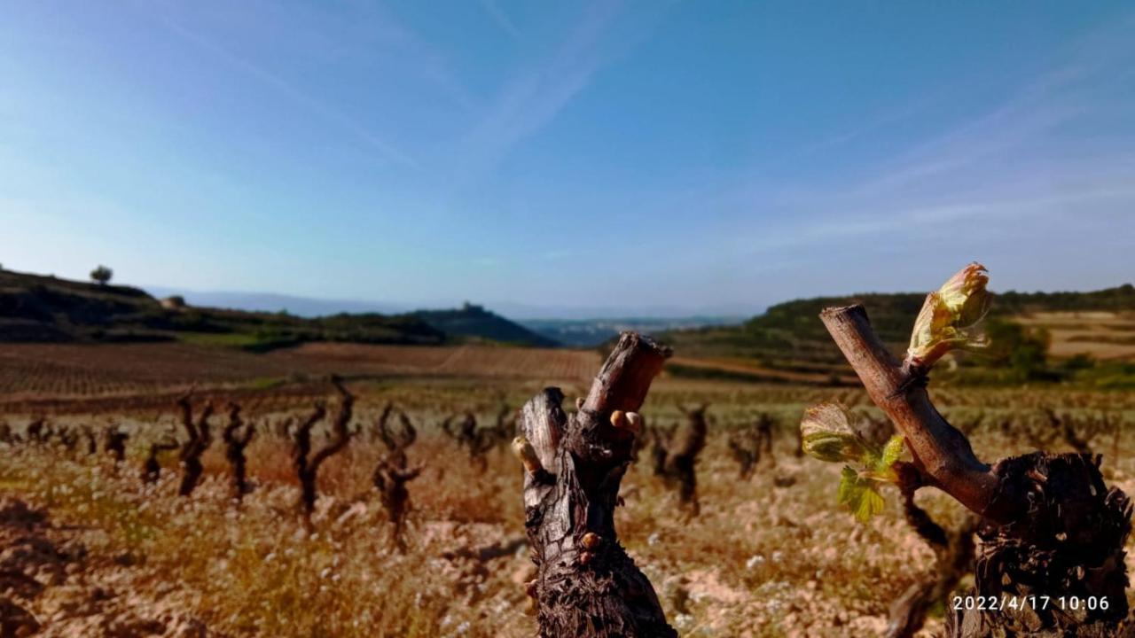El Guardavinas, Entre Montes Y Vinedos