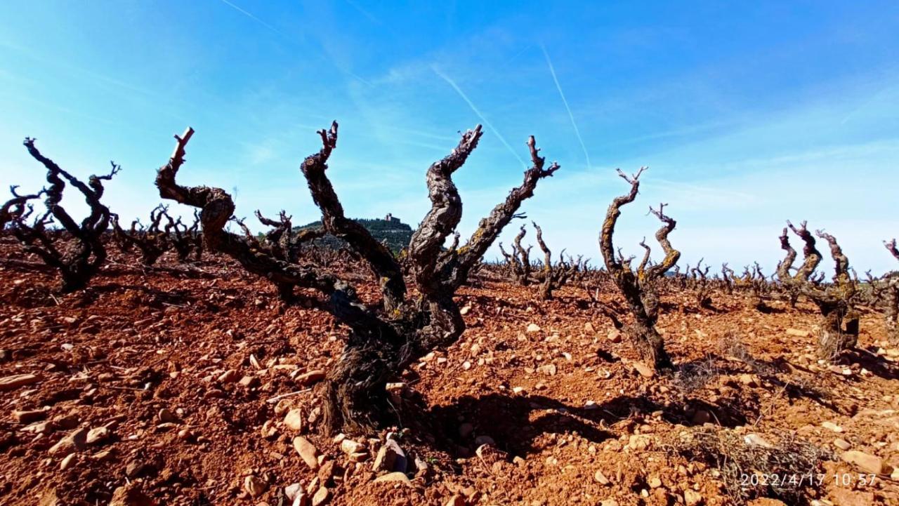 El Guardavinas, Entre Montes Y Vinedos Ábalos