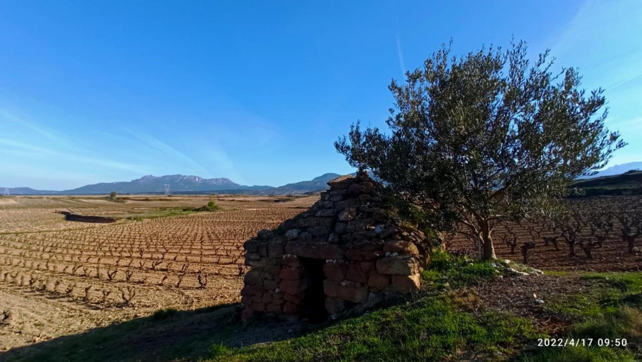El Guardavinas, Entre Montes Y Vinedos