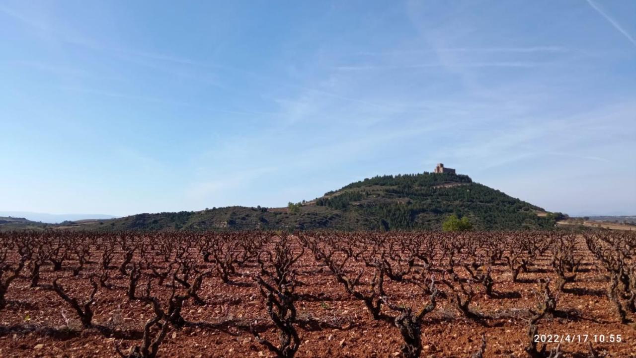 El Guardavinas, Entre Montes Y Vinedos Apartment